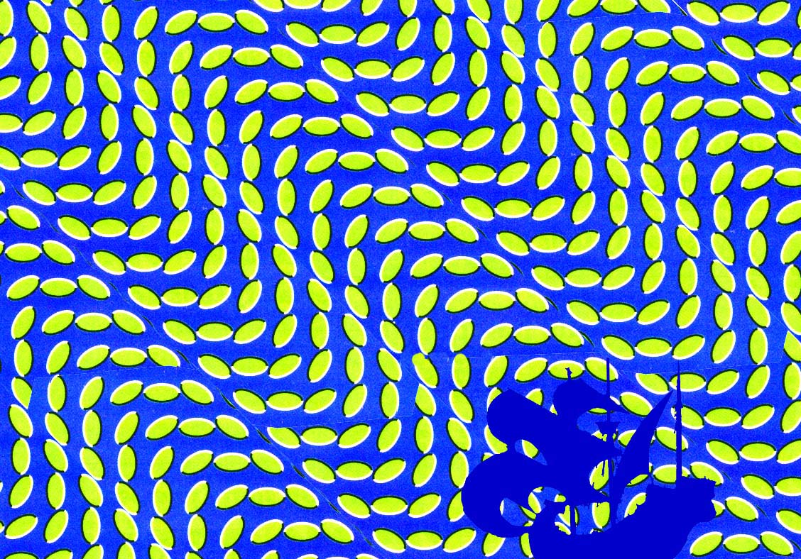 An Ocean Wave Illusion, Geometric illusions#
